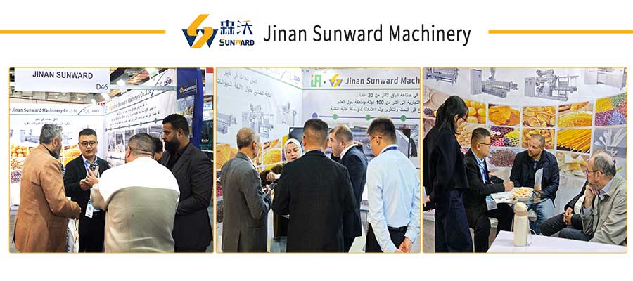 济南森沃埃及展会