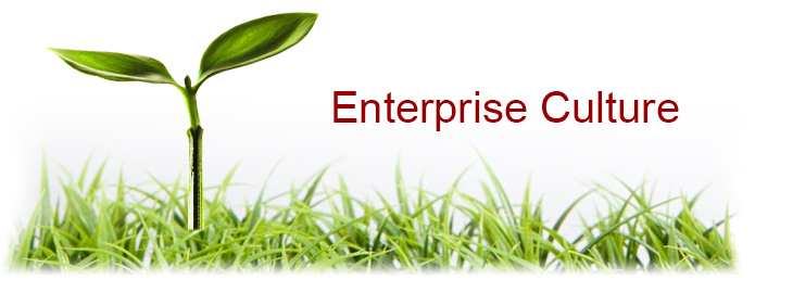 Enterprise Culture