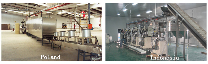 fish feed factory project