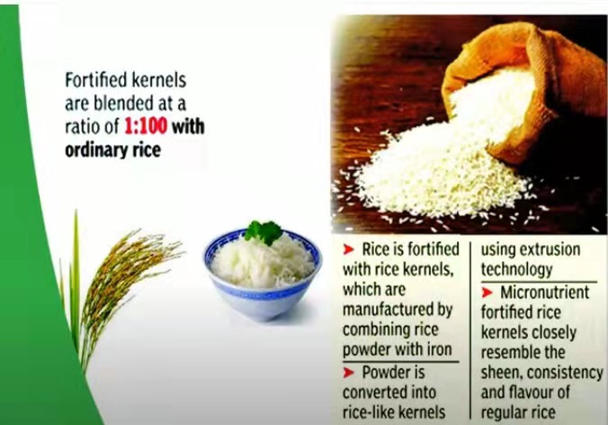 what is fortified rice kernel