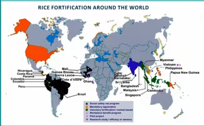 fortification rice around the world
