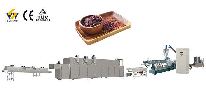 Fortified Nutritional Rice Processing Line